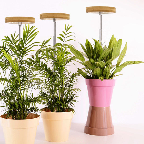 The Future of Plant Lights: Exploring Emerging Trends and Market Opportunities