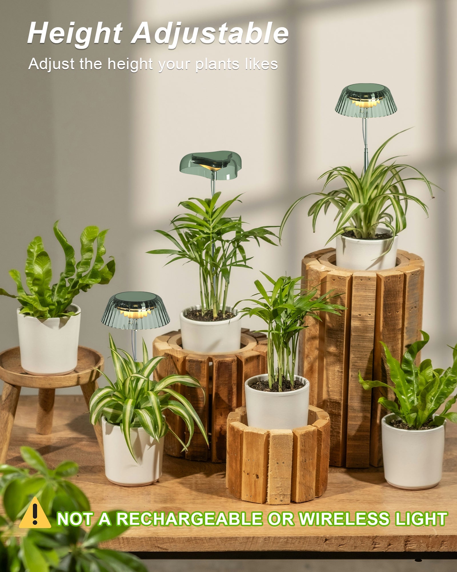 How to Rescue a Dying Plant Using a Grow Light