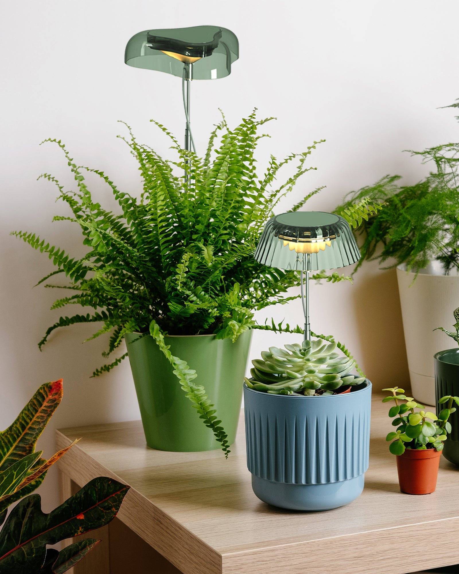 Summer Plant Care Tips: Preventing Light Burn with Adjustable Grow Lights