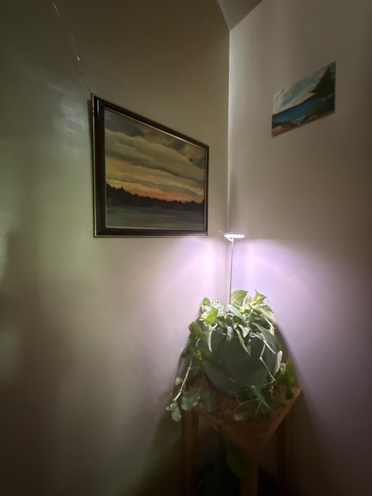 How to Grow Herbs Indoors All Year Round with Grow Lights