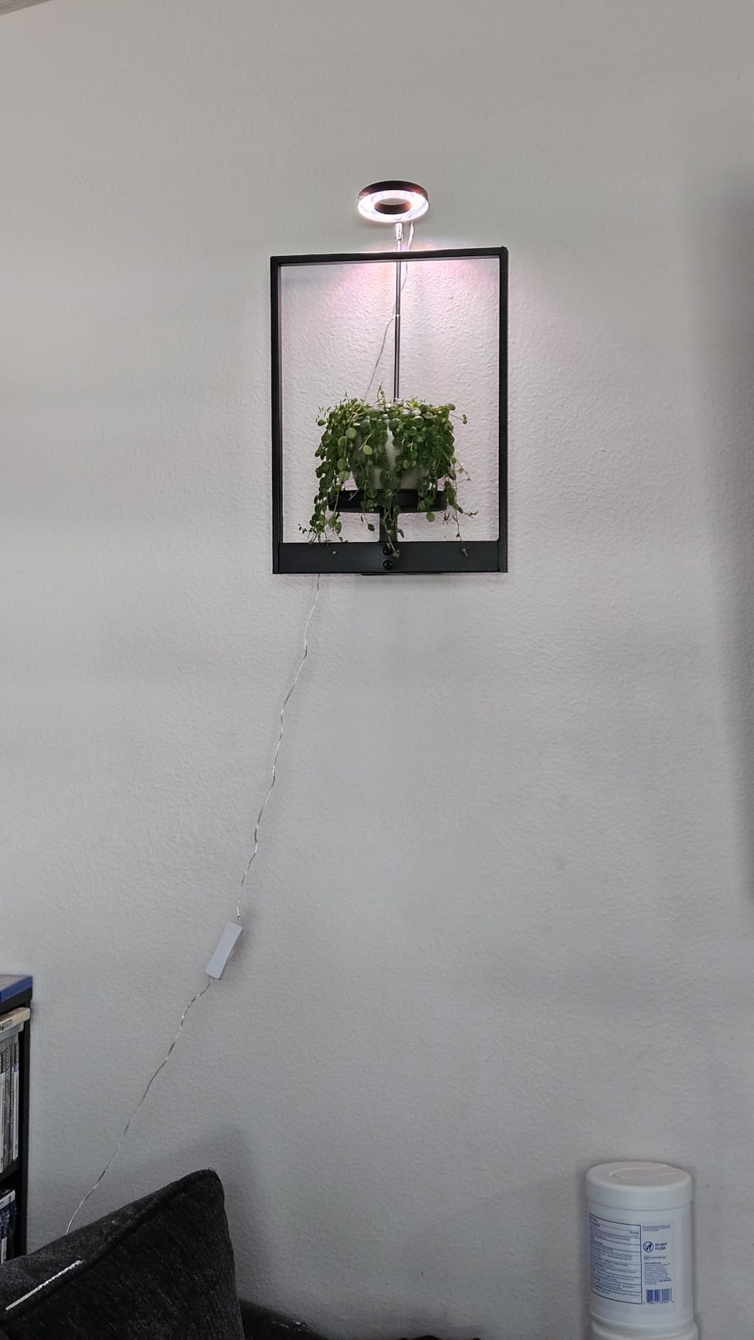 Why Winter Is the Hardest Season for Indoor Plants (and How Grow Lights Help)