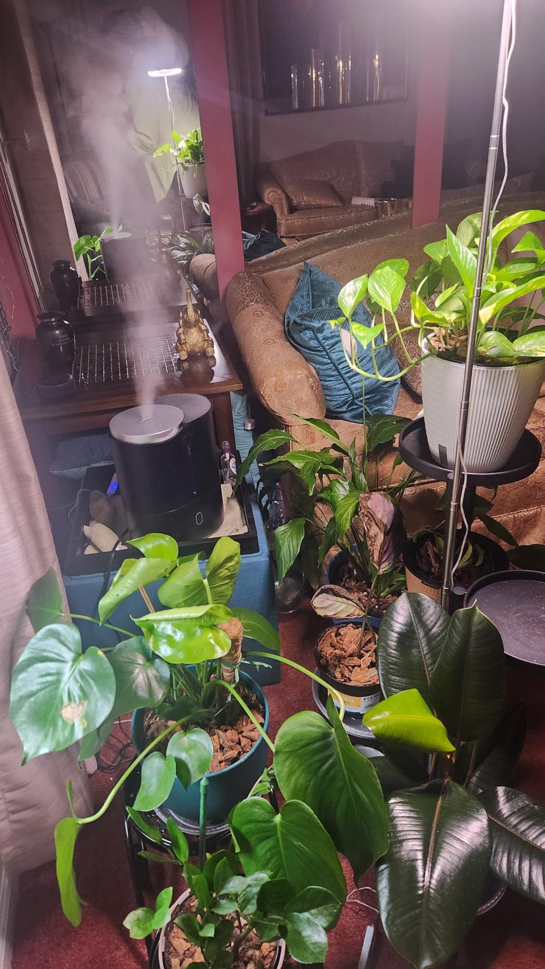 Create a Cozy Winter Plant Corner with Grow Lights