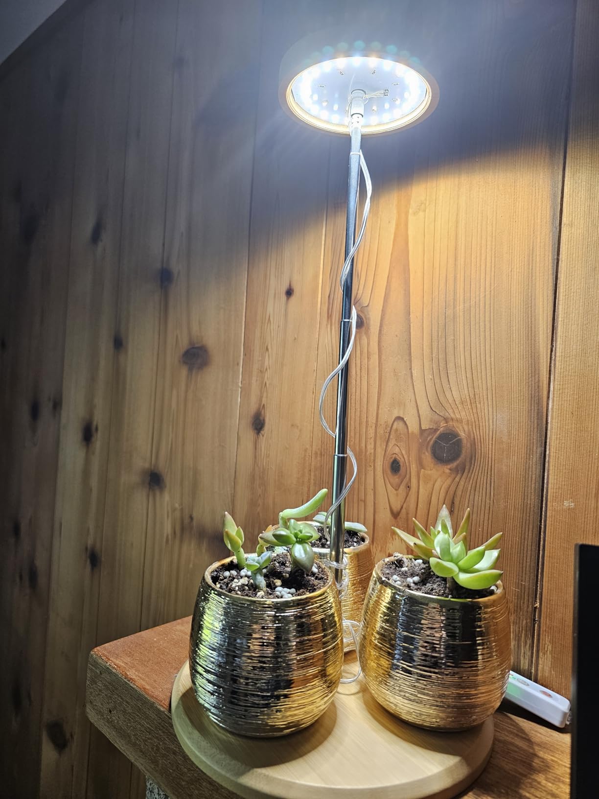 Winter Blues? How Grow Lights Improve Your Mood and Home