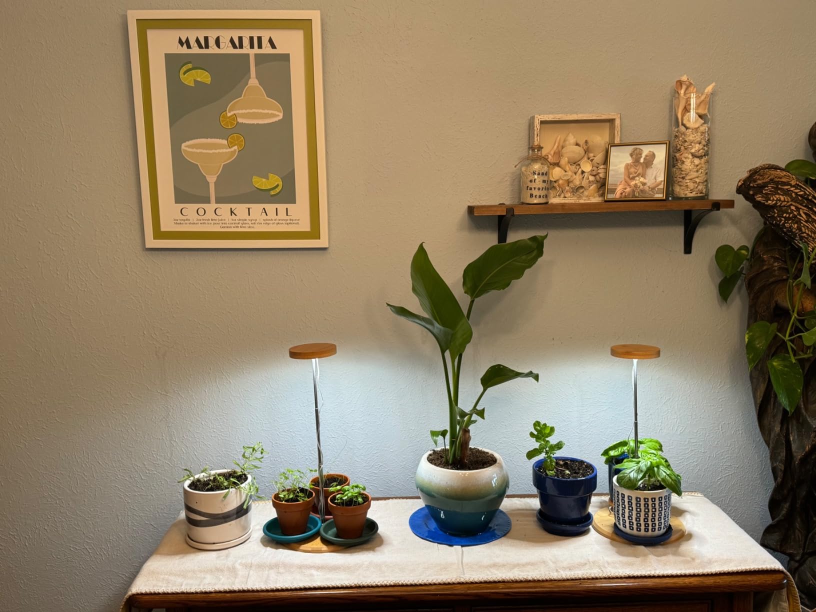 Grow Fresh Herbs Indoors During January