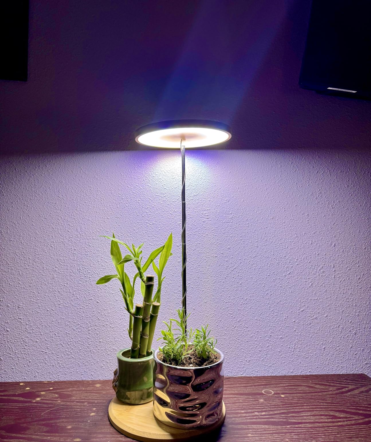 🌿 How to Choose the Right LED Grow Light for Your Plants