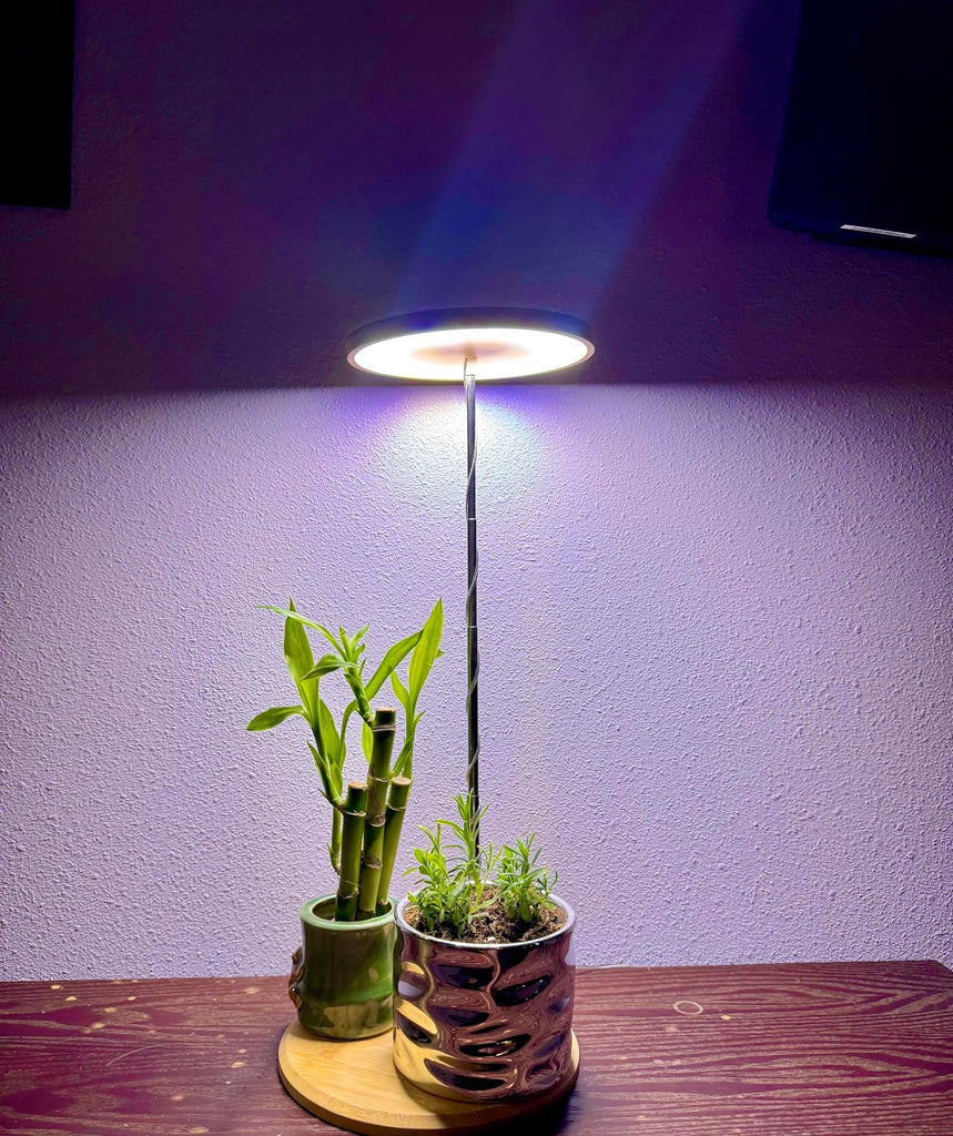 🌿 How to Choose the Right LED Grow Light for Your Plants