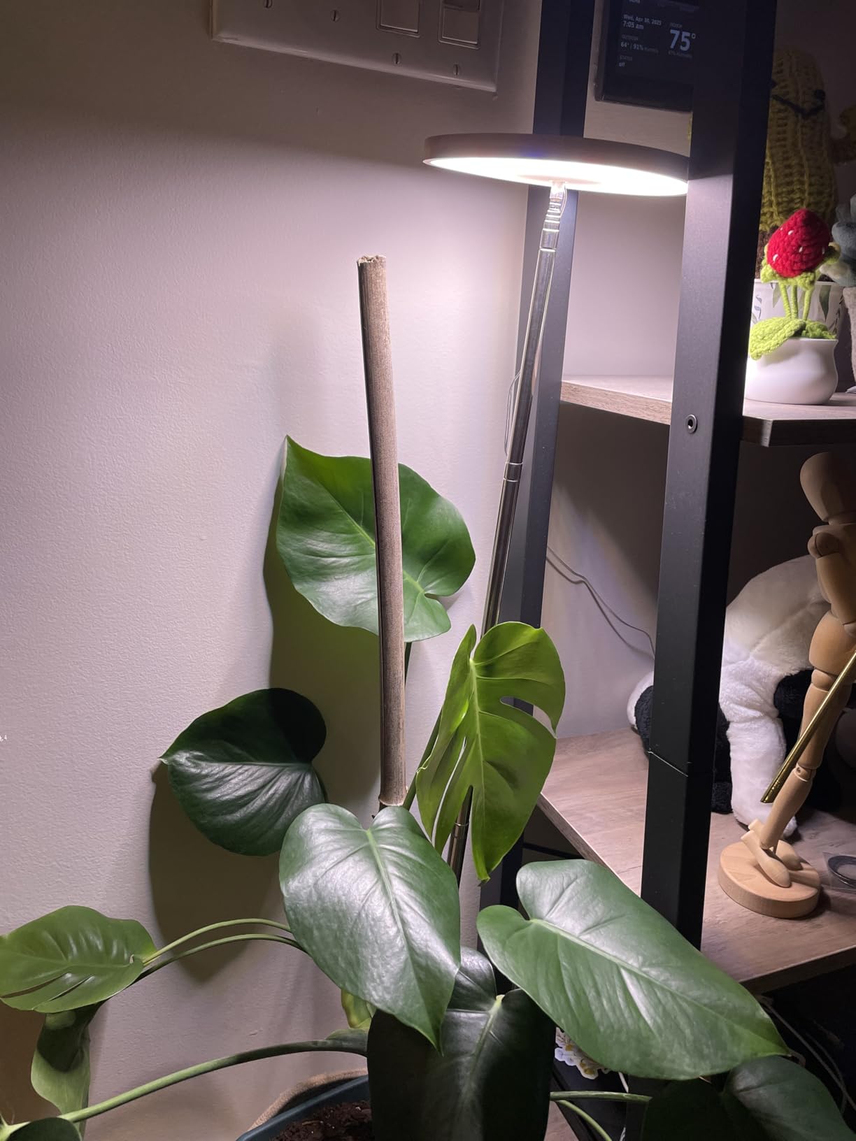 Why Grow Lights Are Essential for Plants in Winter