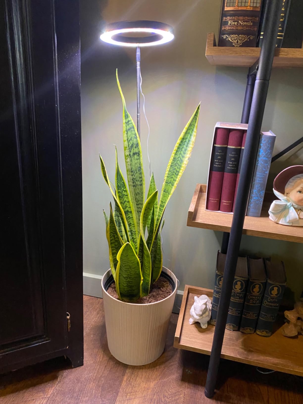 How to Choose the Right Plant Light for Your Indoor Garden