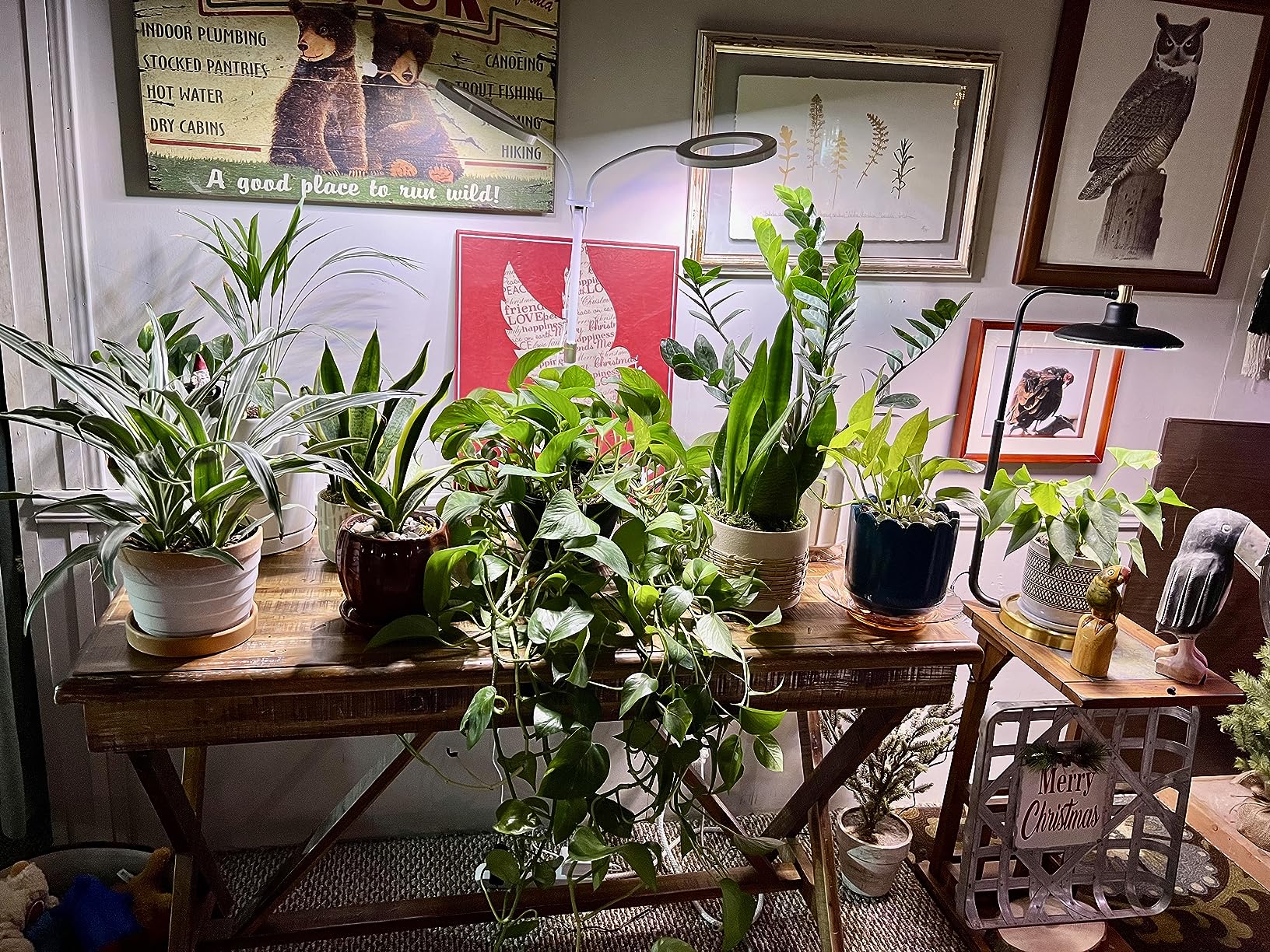 Yadoker LED Plant Growth Light: Where Function Meets Style in Every Space