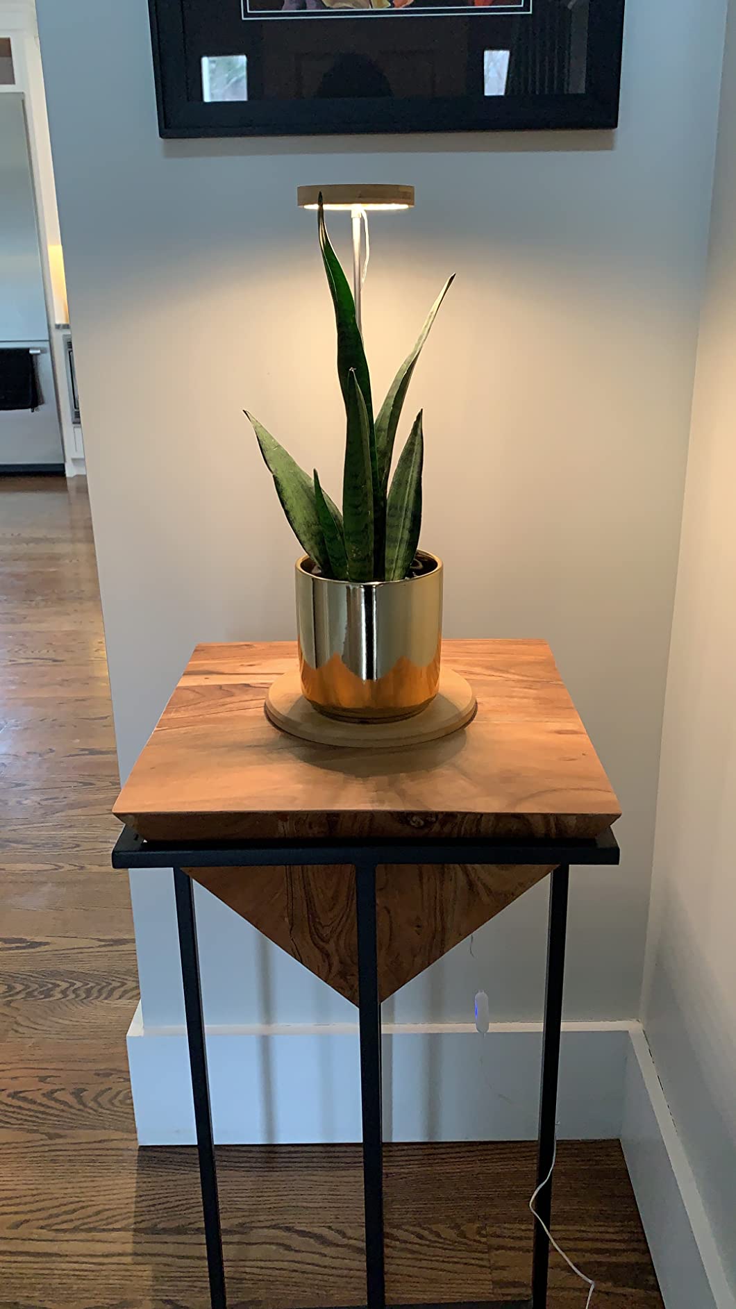 How Full Spectrum LED Lights Support Healthier Indoor Plants