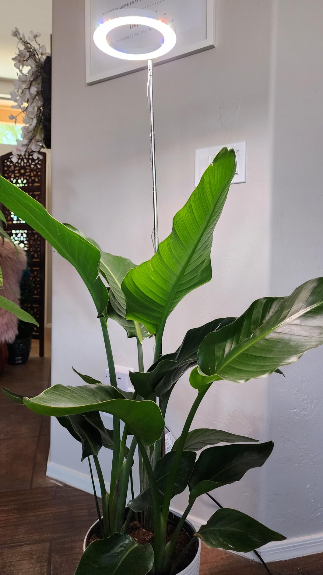 The Benefits of Full-Spectrum LED Grow Lights: Grow Smarter, Grow Healthier