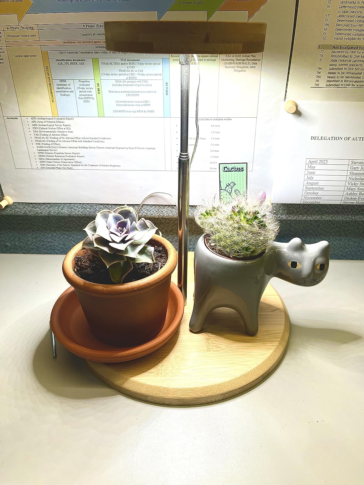 Elevate Your Indoor Garden with Yadoker LED Plant Growth Light