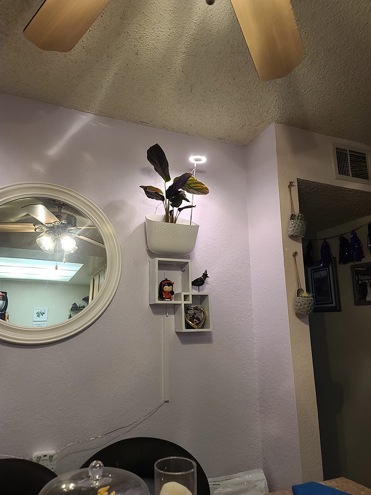 Yadoker Basic Plant Light: Illuminating Your Home Garden with Elegance and Ease