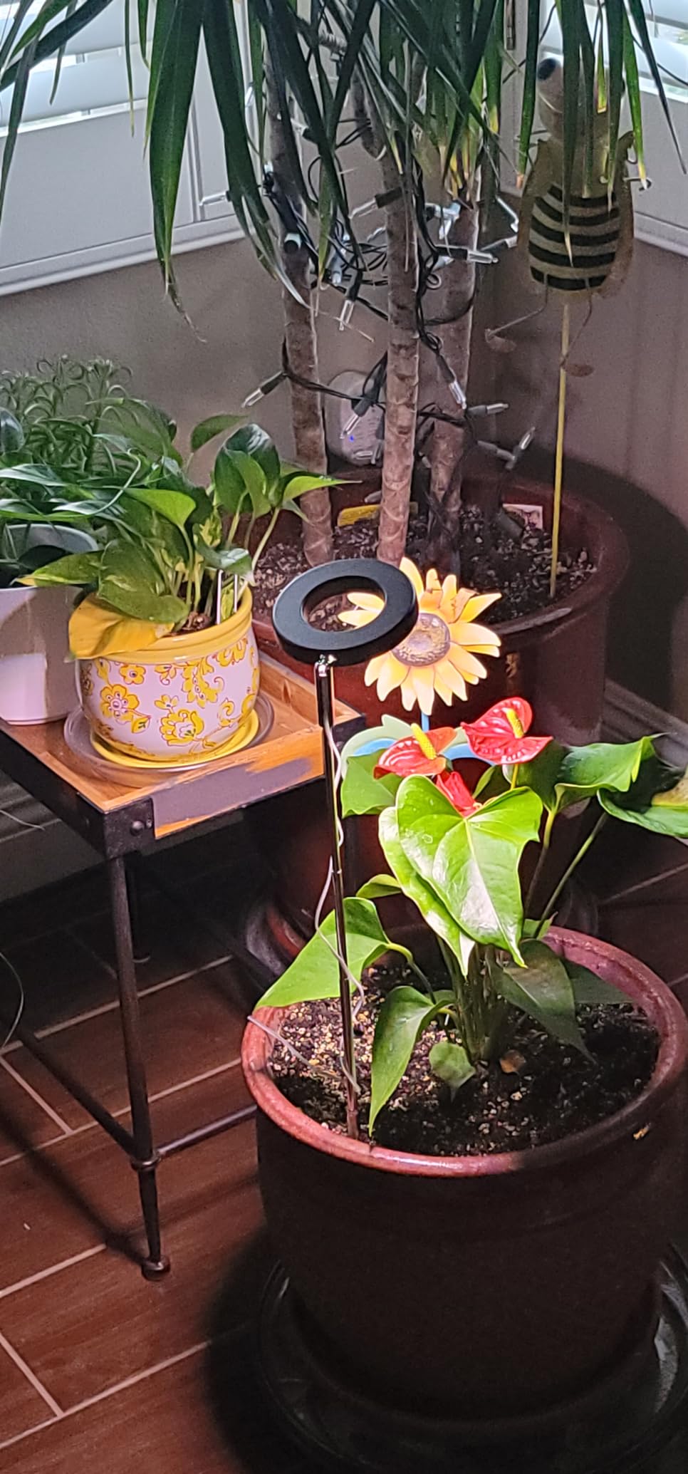 The Advantages of Plant Lights as Gifts