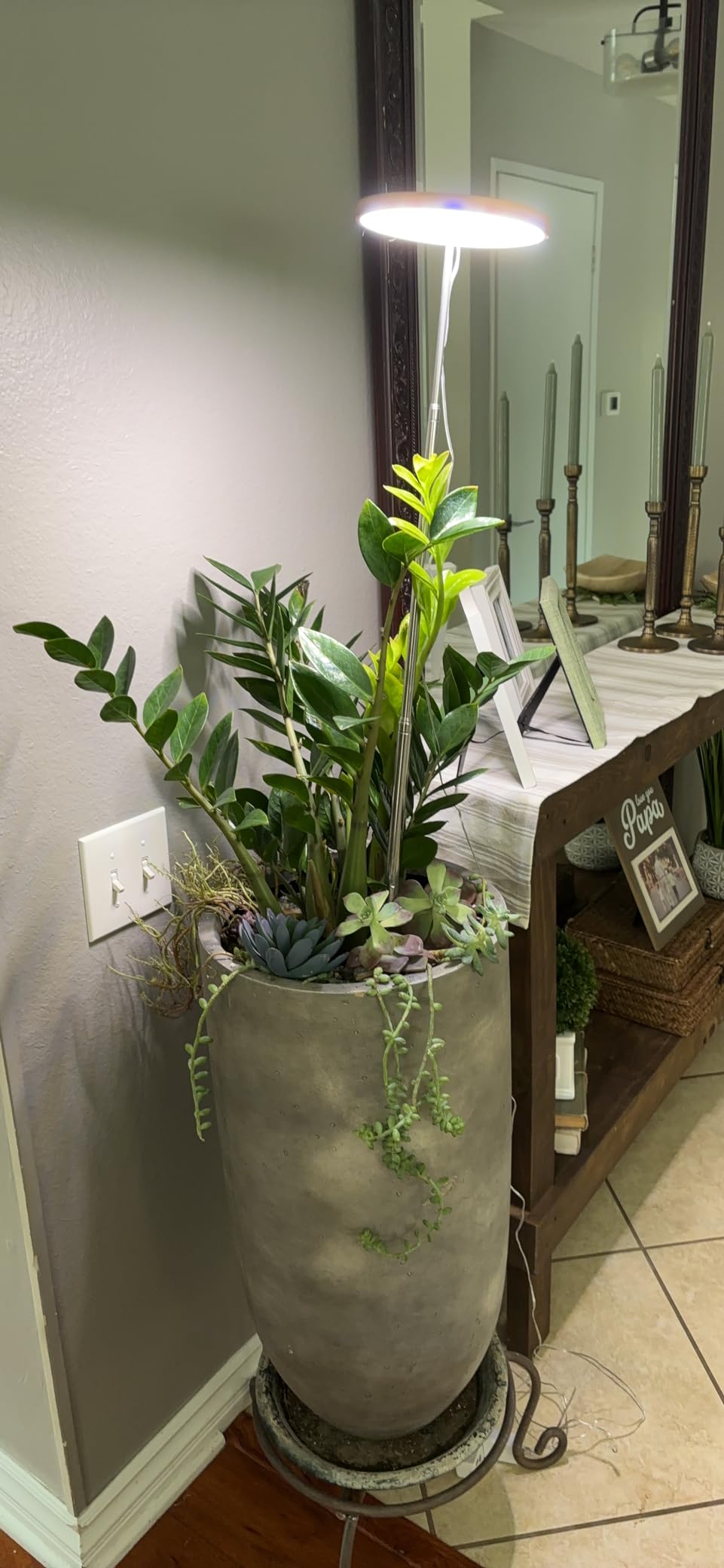 The Advantages of Timer - Adjustable Plant Lights