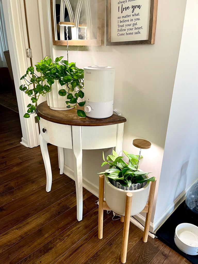 Yadoker Plant Growth Lights: Illuminating the Path to Thriving Plants