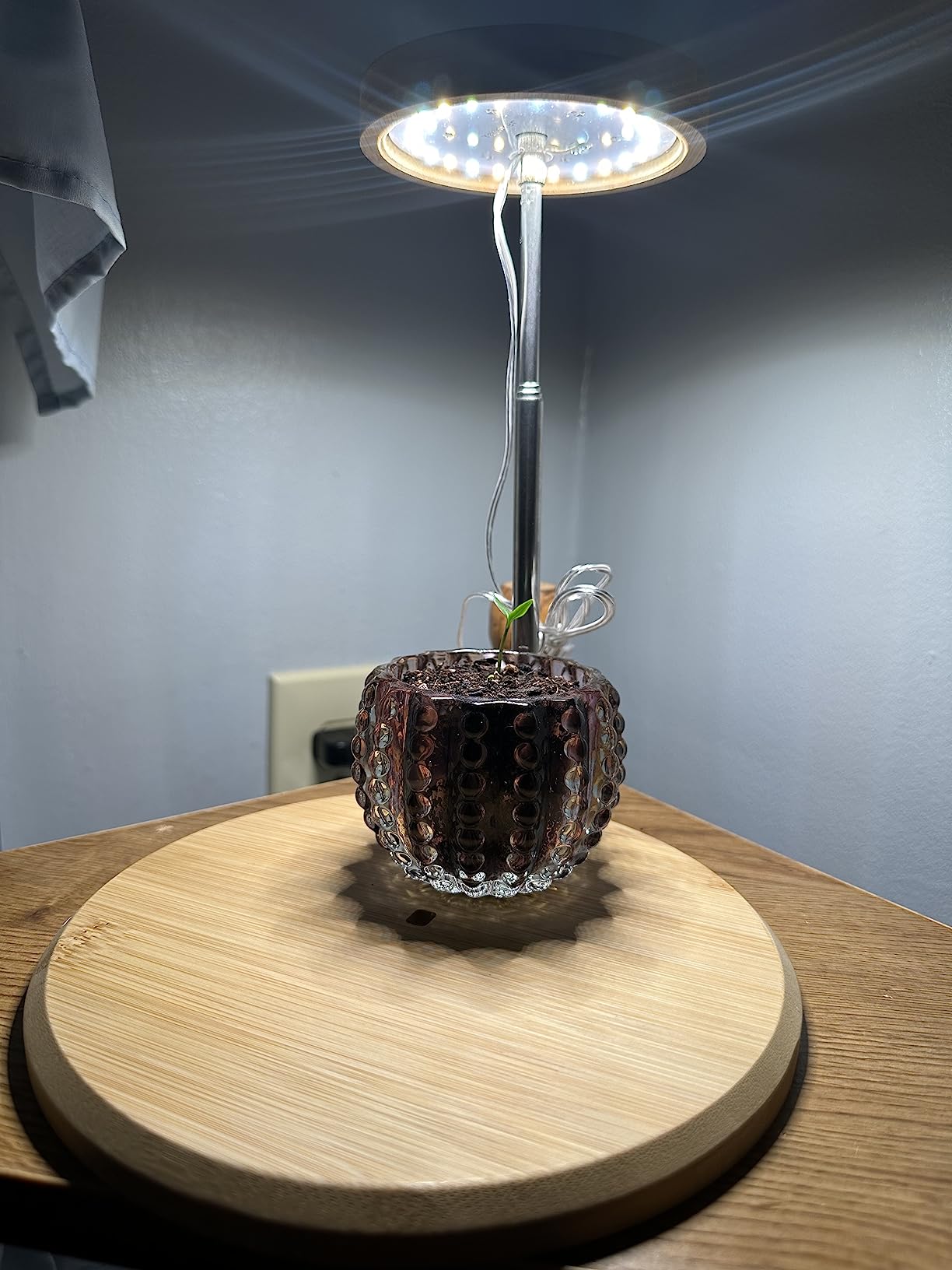 Unleashing Growth Potential: The Definitive Guide to Our LED Plant Lights