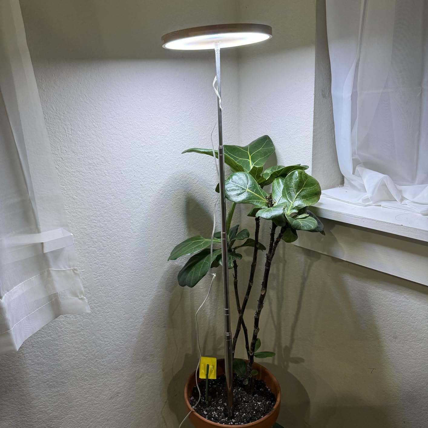 Why Full-Spectrum LED Grow Lights Are a Game-Changer for Plants