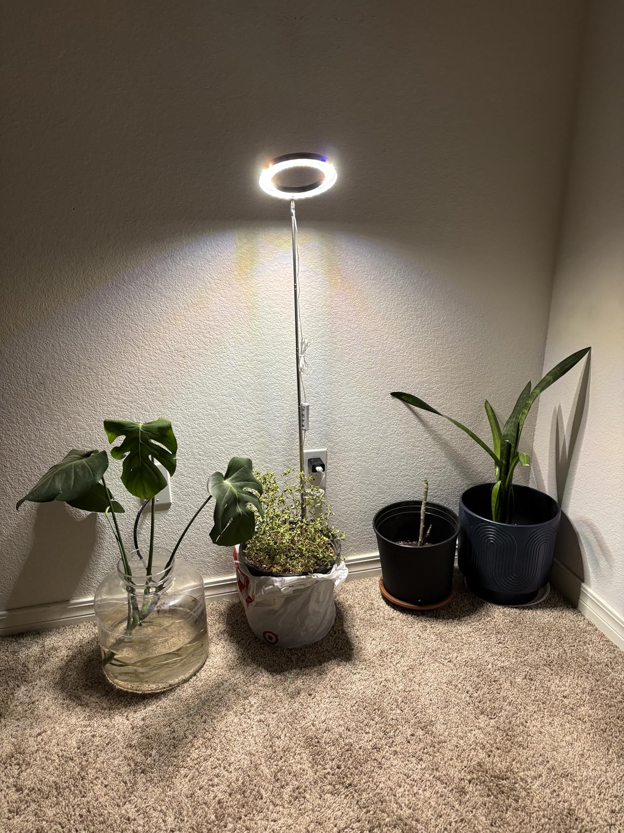 The Benefits of Timer-Enabled Grow Lights: Set It and Forget It