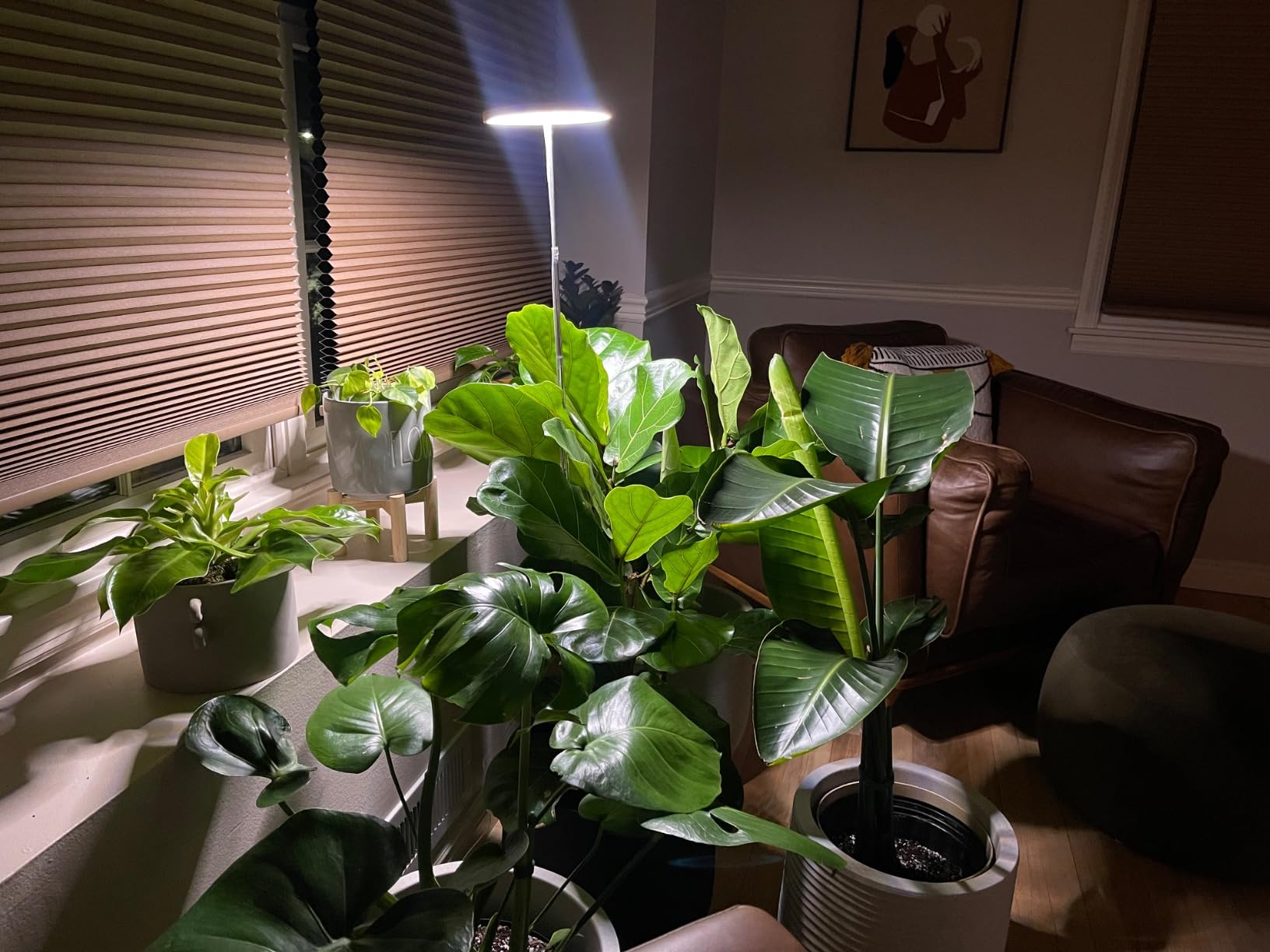 Common Grow Light Mistakes and How to Avoid Them