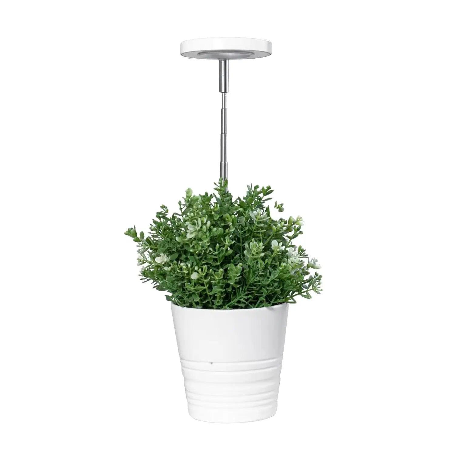 white grow light for plants Basic White Plant Grow Light– Yadoker