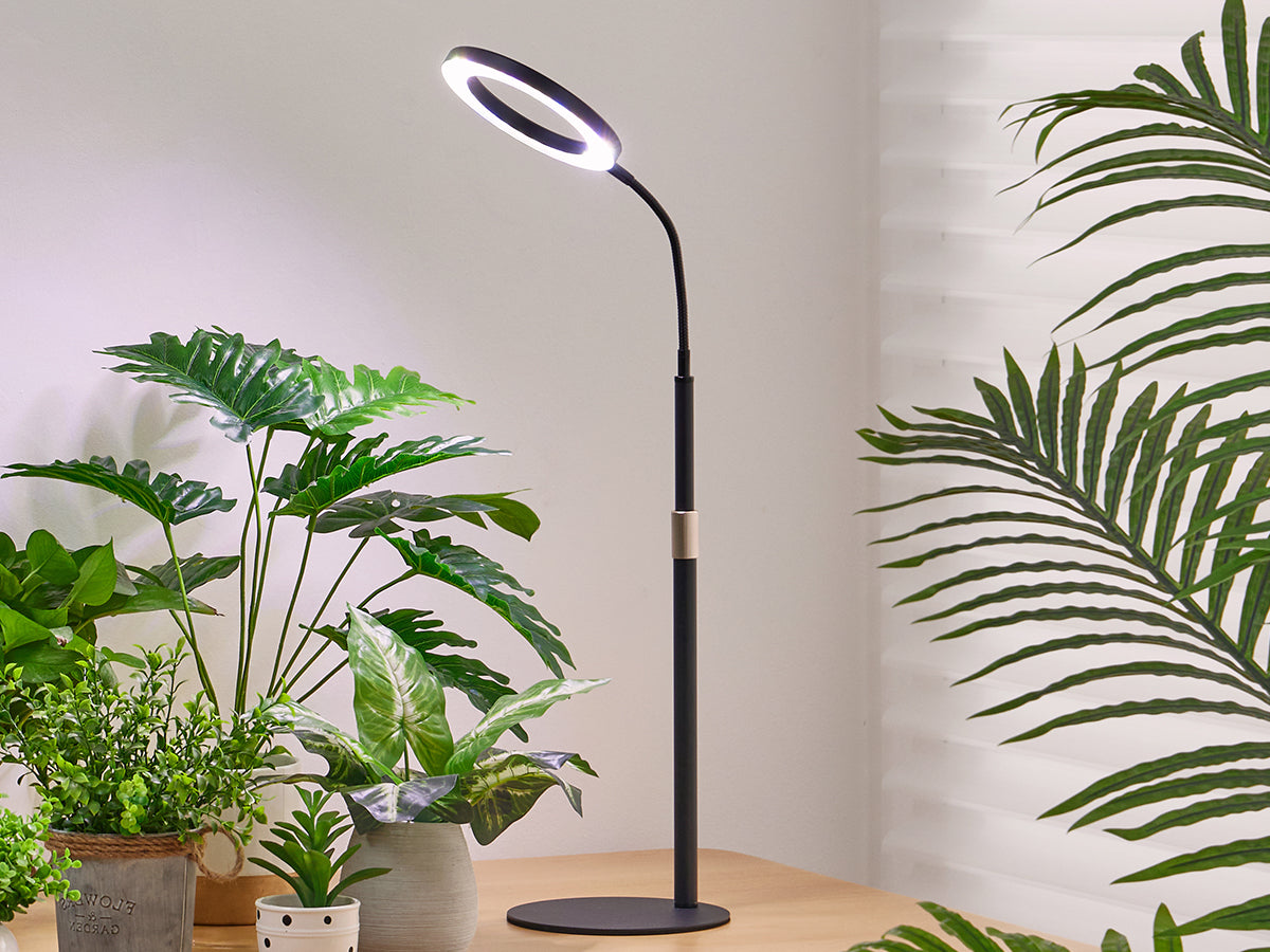 Introducing Yadoker's New Plant Lights