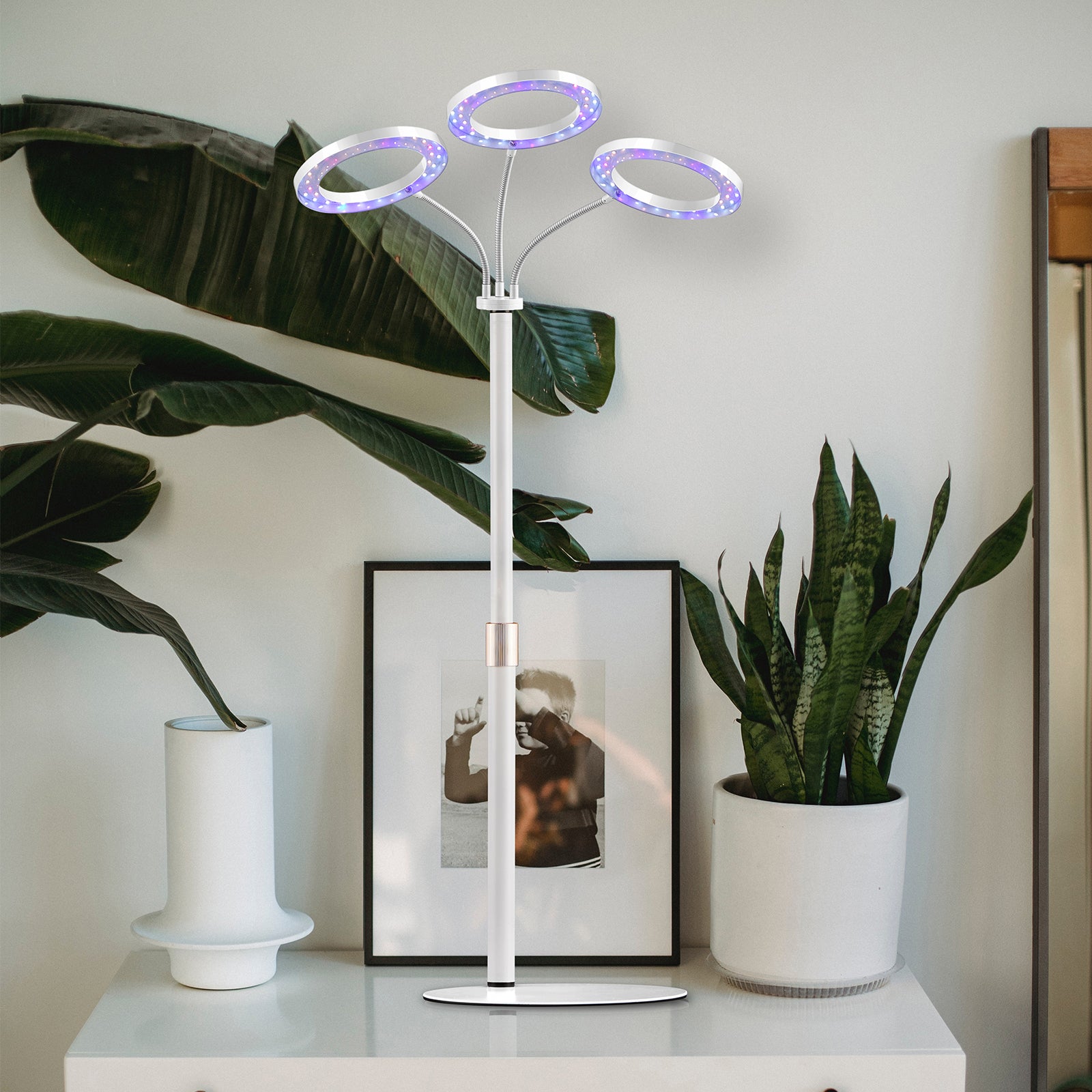 Tri-Head Plant Grow Light: Elevating Your Indoor Gardening Experience