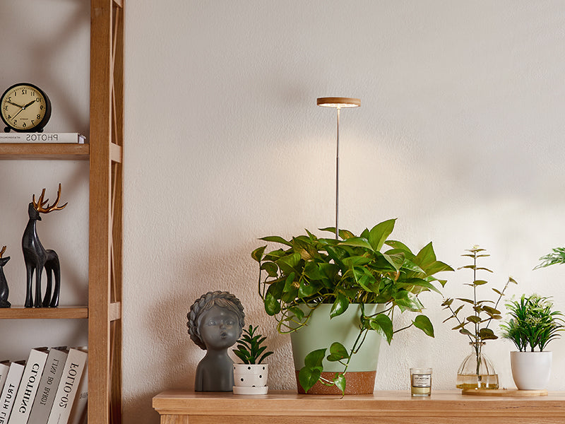 Bamboo grow lights, a more natural style