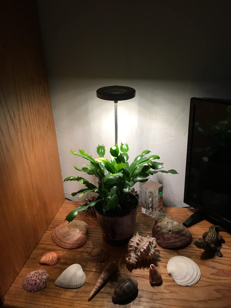 Common Mistakes When Using Grow Lights (and How to Fix Them)