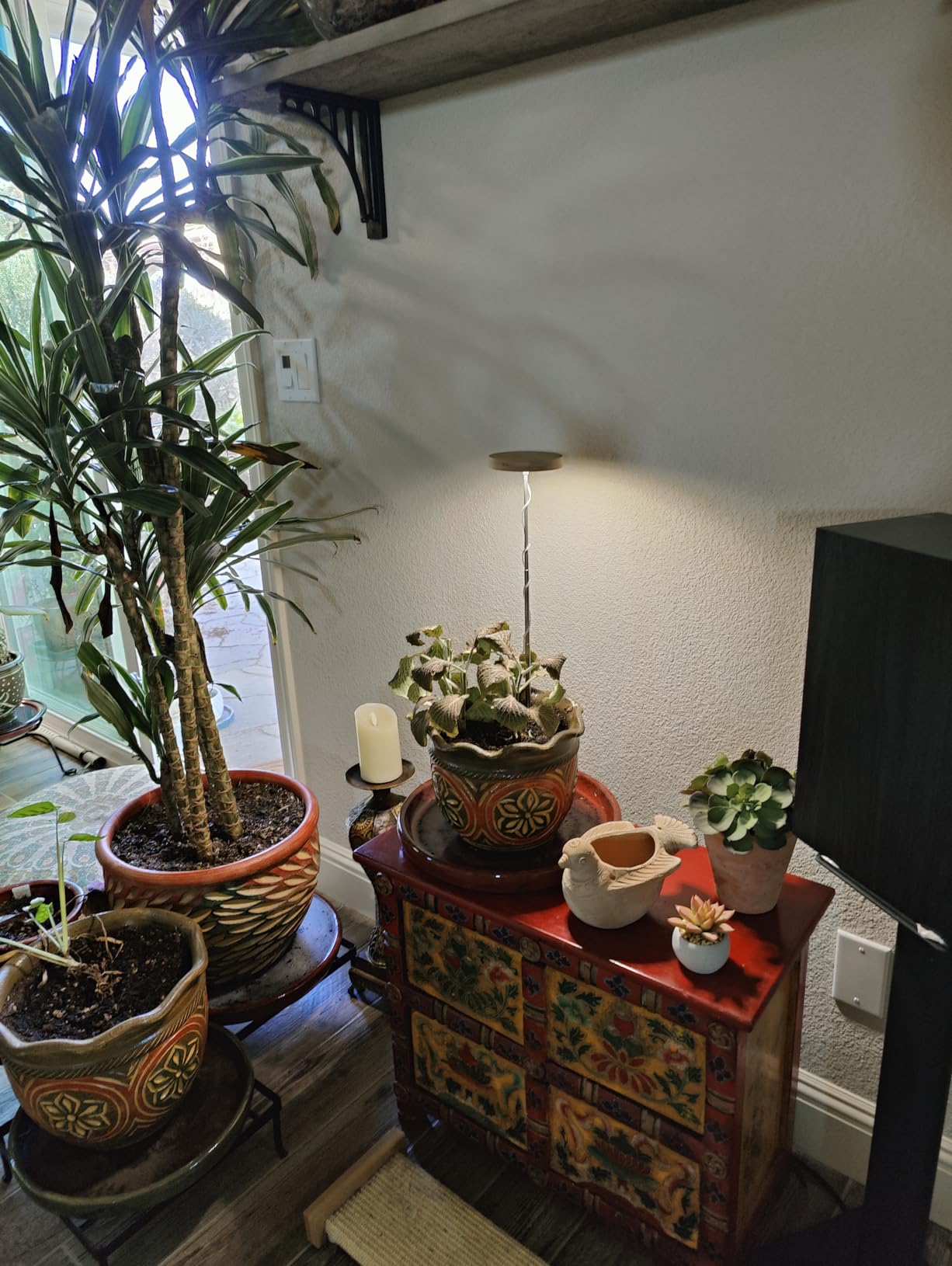 Do Grow Lights Use a Lot of Energy? (Cost Breakdown + Savings Tips)