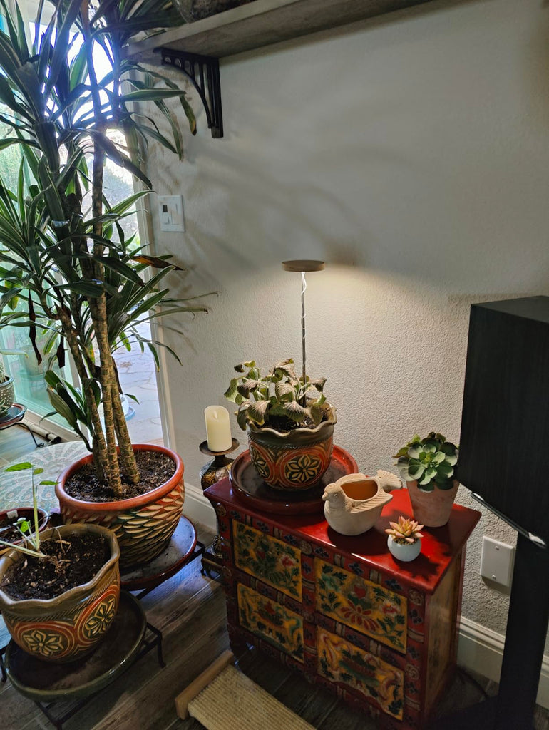 Do Grow Lights Use a Lot of Energy? (Cost Breakdown + Savings Tips)