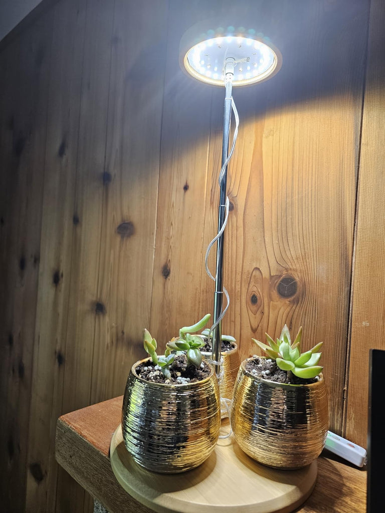 Winter Blues? How Grow Lights Improve Your Mood and Home