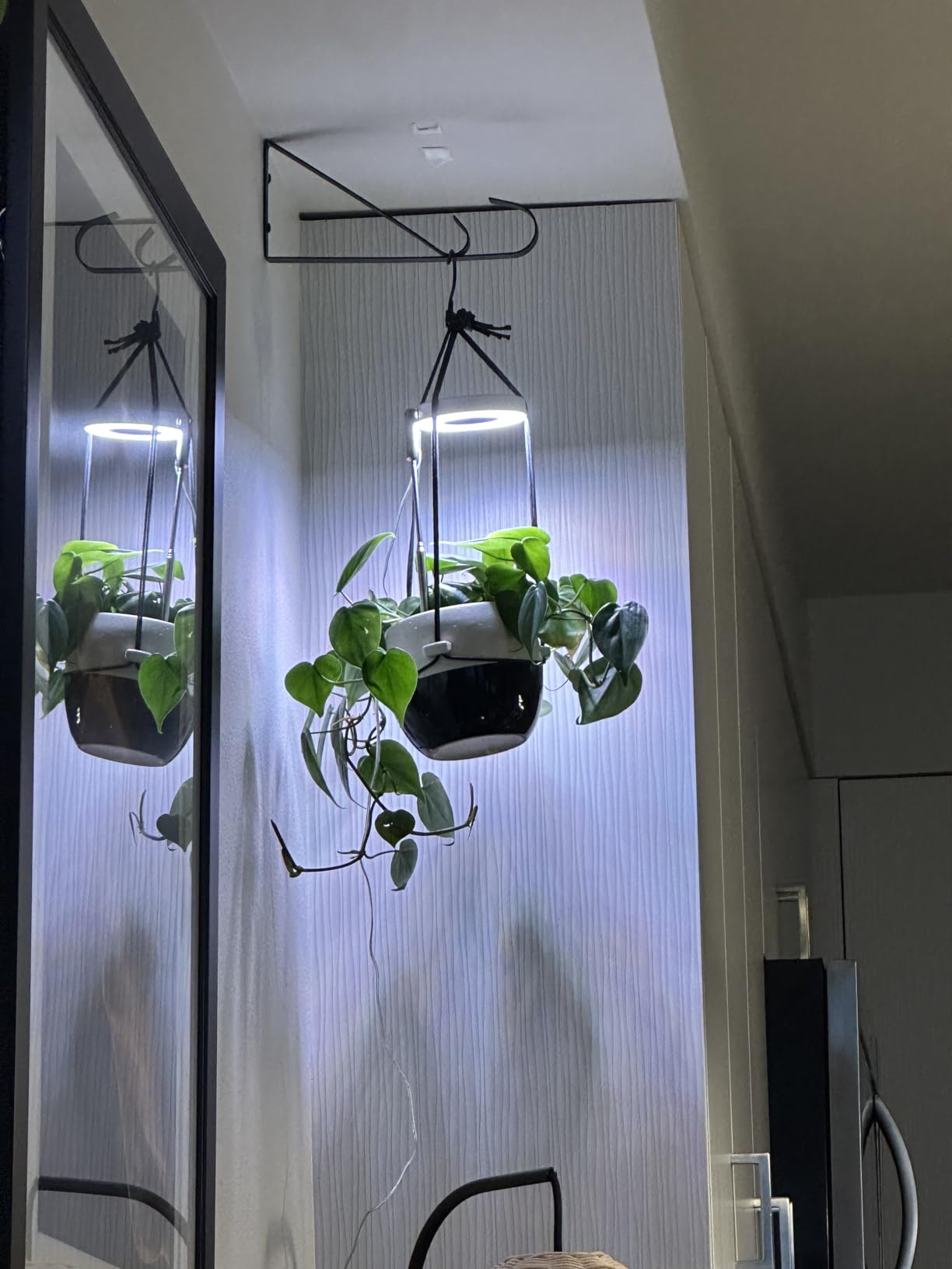 How to Prepare Your Indoor Garden for the New Year