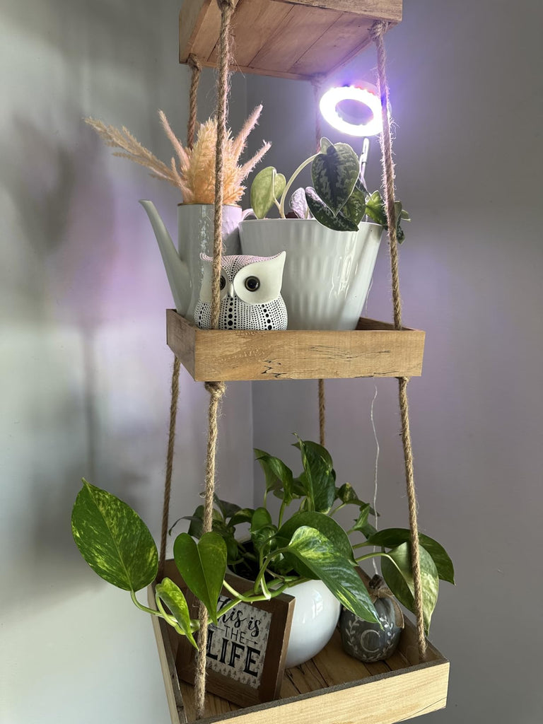 How to Maximize Plant Growth During the Darkest Winter Months