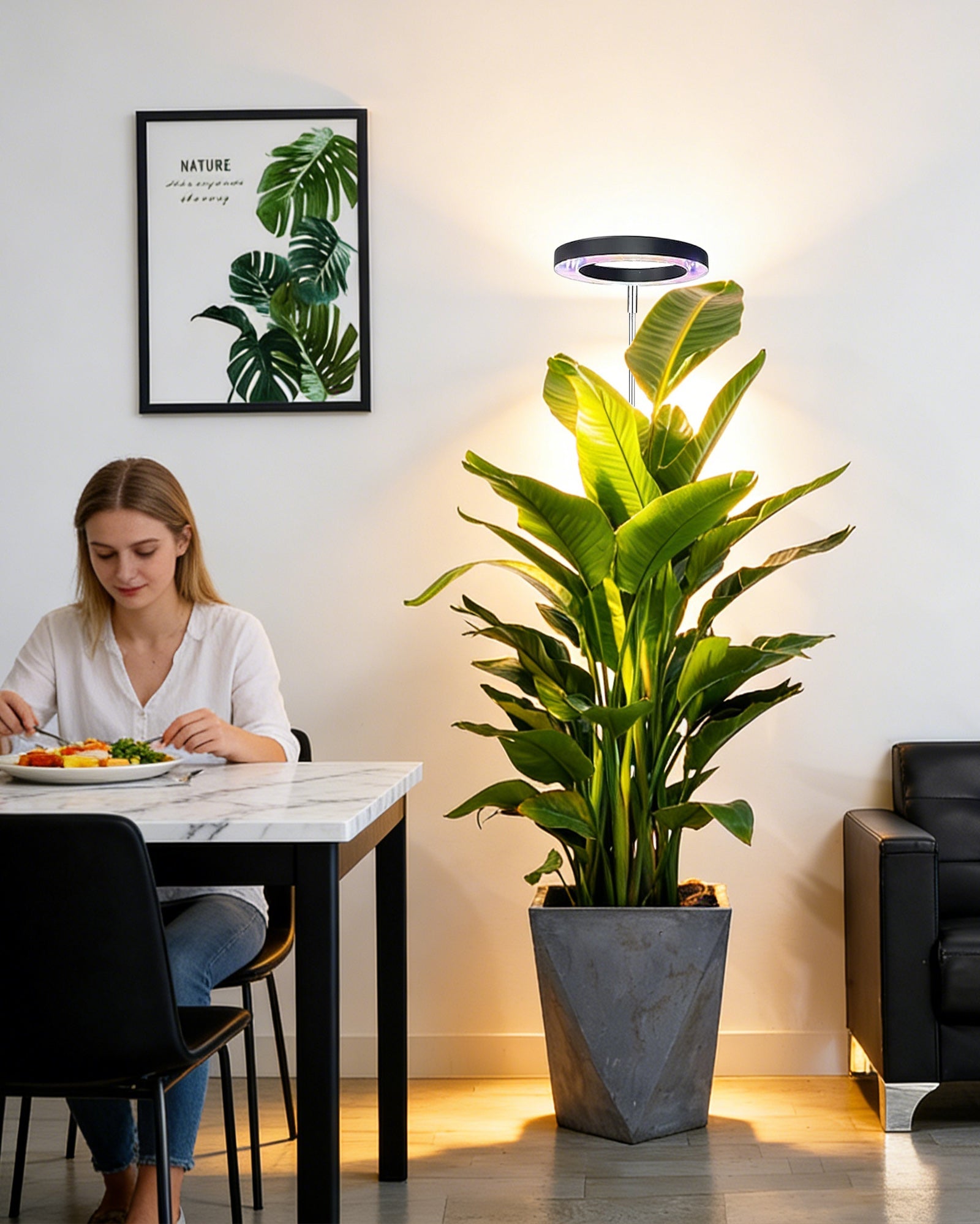 How to Choose the Right Grow Light for Tall and Large Indoor Plants