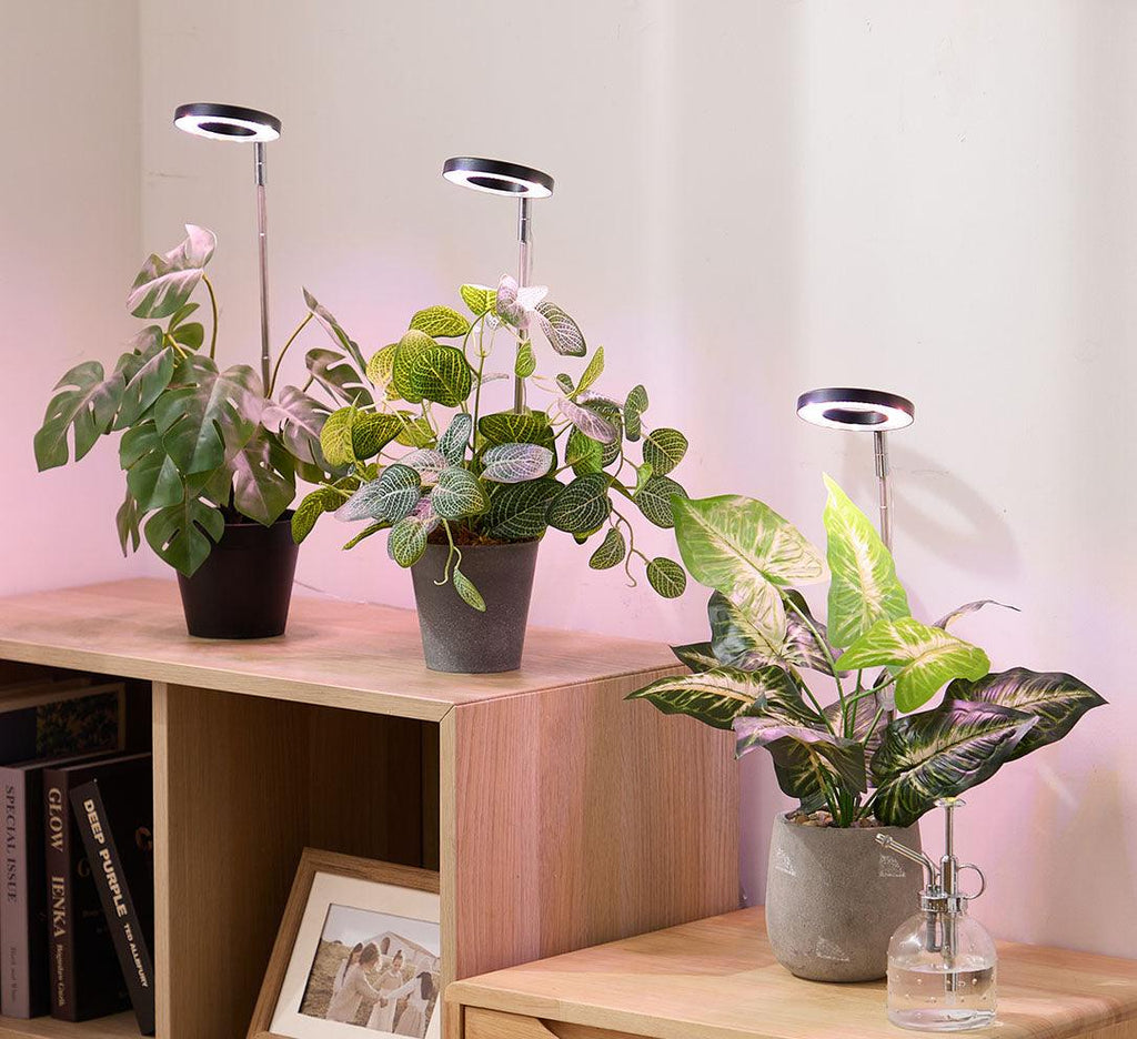 A new look! No change in price! The basic black plant grow light is here!