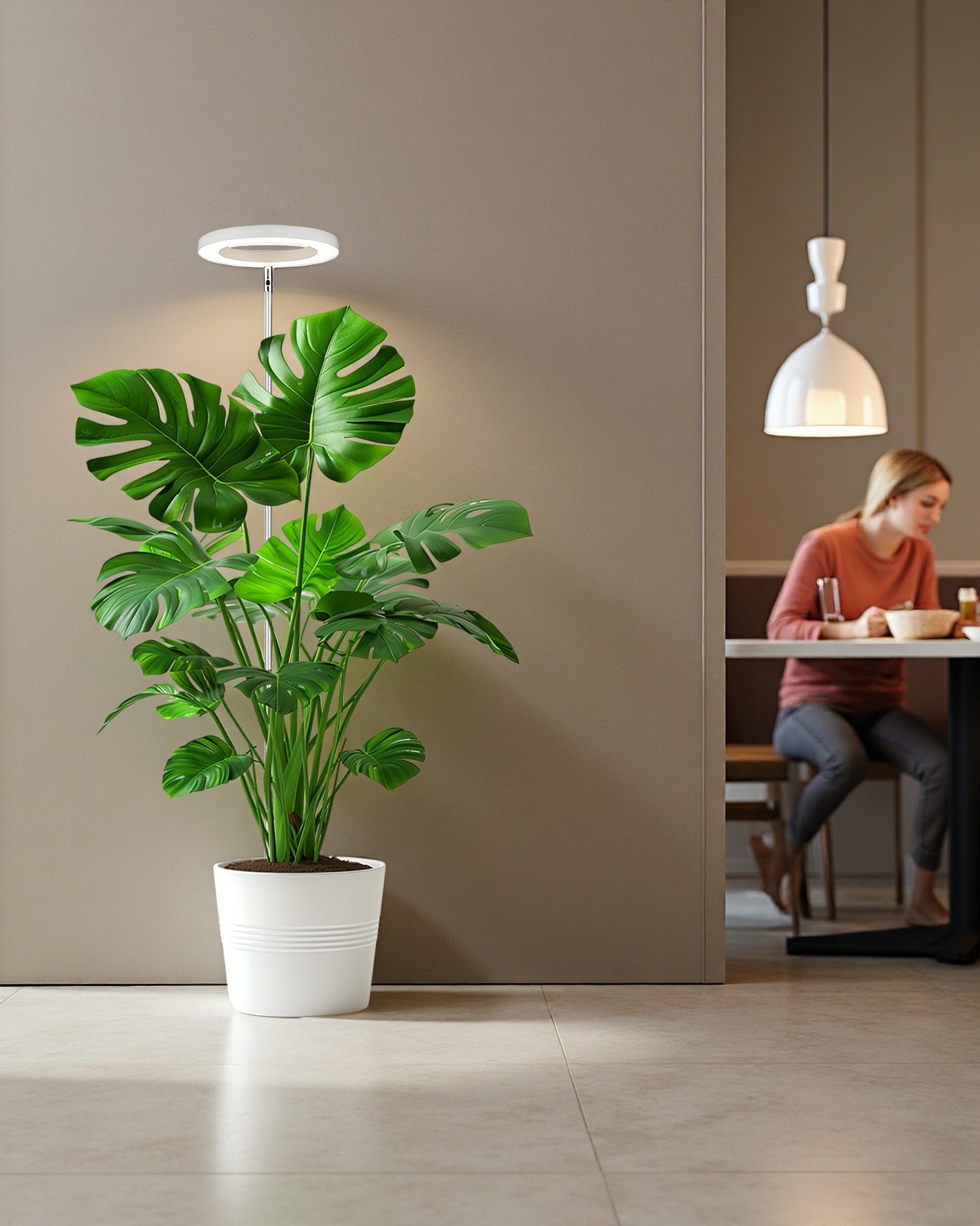 5 Signs Your Plant Is Starving for Light (Most Owners Miss #3)