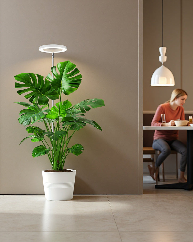 5 Signs Your Plant Is Starving for Light (Most Owners Miss #3)