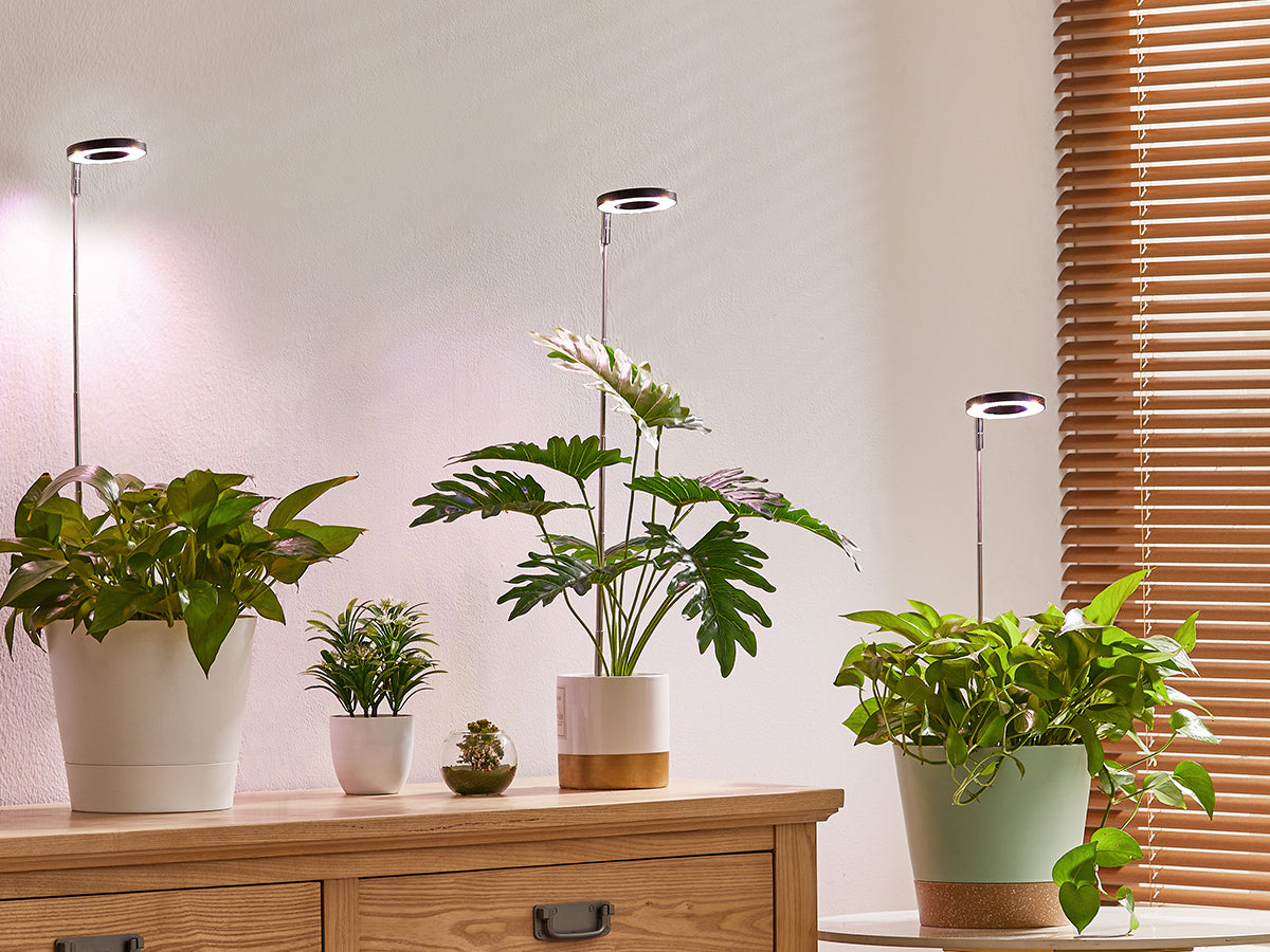 Plant Grow Lights: Providing an Ideal Growing Environment for Your Plants