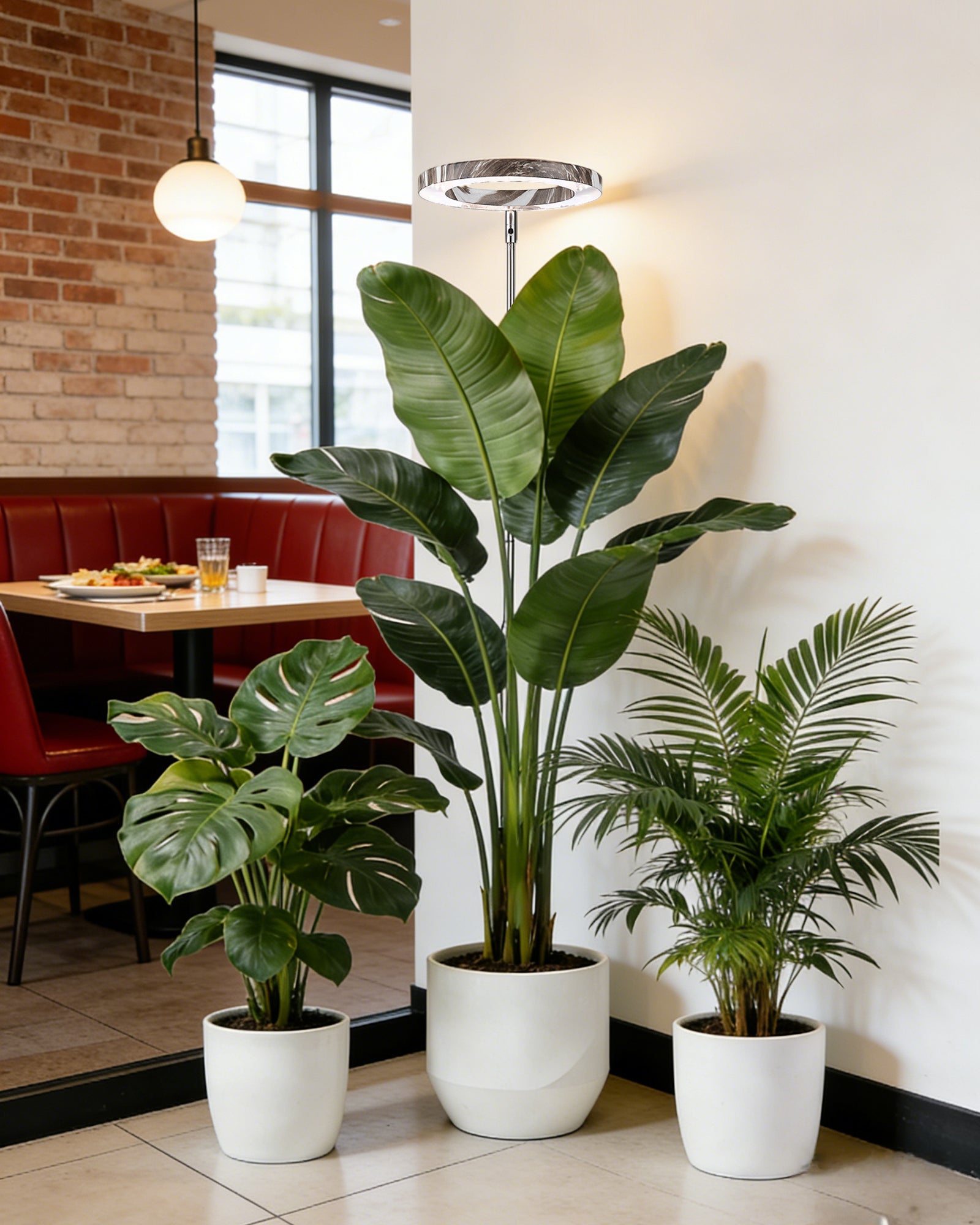 How Close Should Your Grow Light Be? One Chart to Save Your Leaves