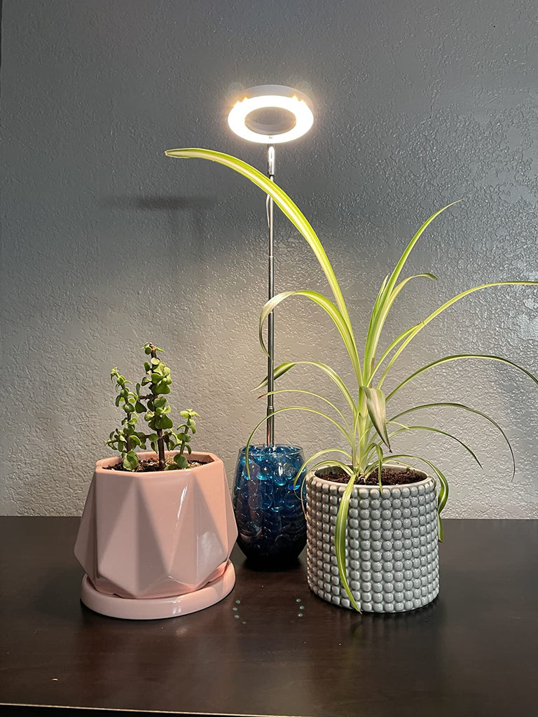 Blossoming Greenery, Timely Care — Exploring the Art of Light Timing in Plant Lamps