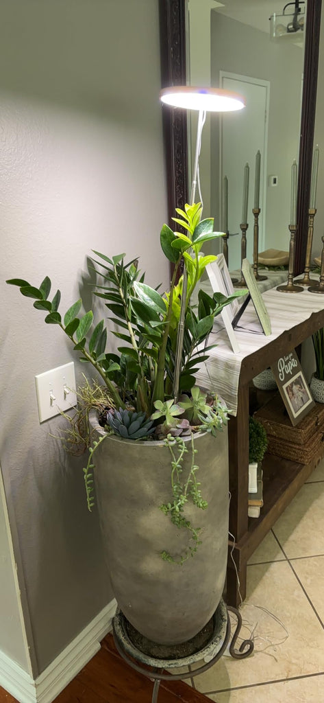 LED Grow Light Benefits: Why They’re Better for Houseplants