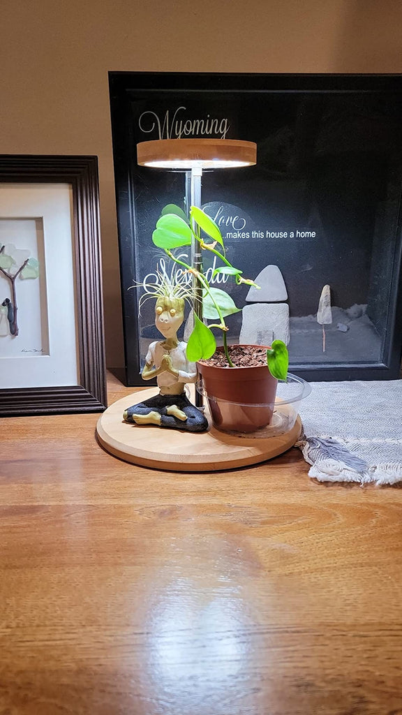 🌱 Do Grow Lights Really Work for Indoor Plants?