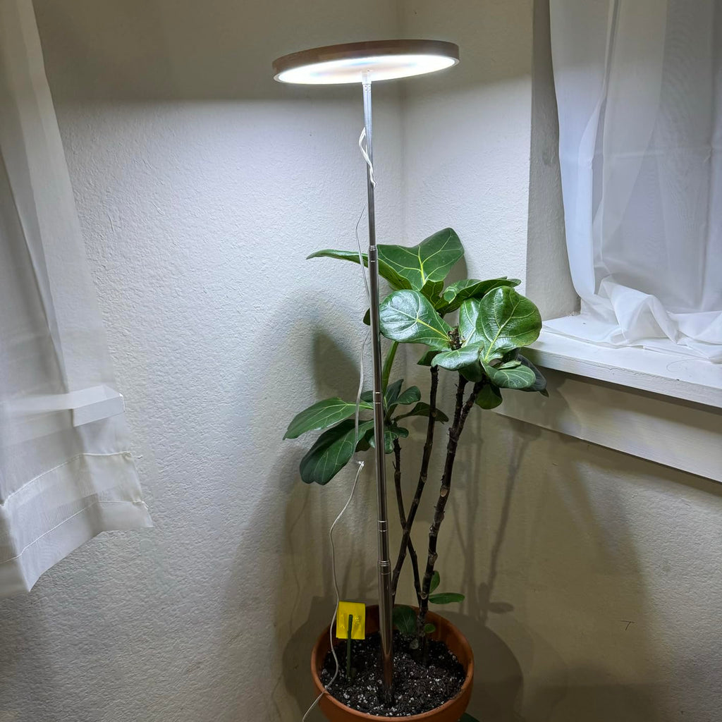 Why Full-Spectrum LED Grow Lights Are a Game-Changer for Plants