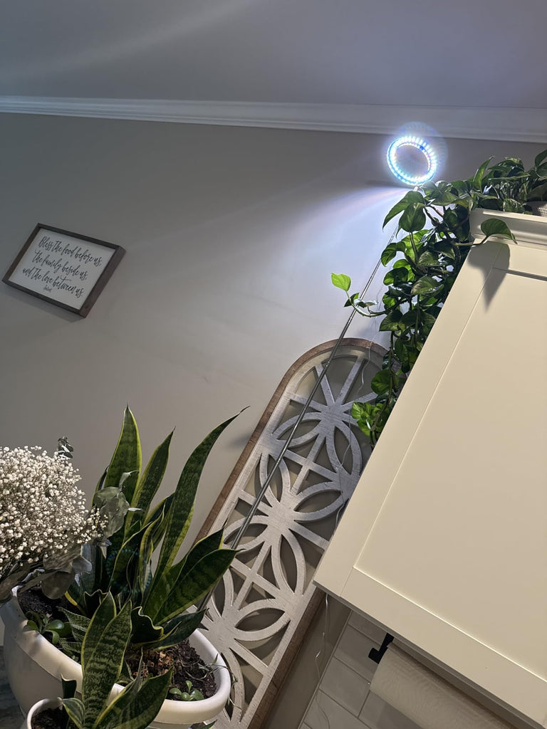 LED vs Fluorescent Grow Lights: Which is Better?