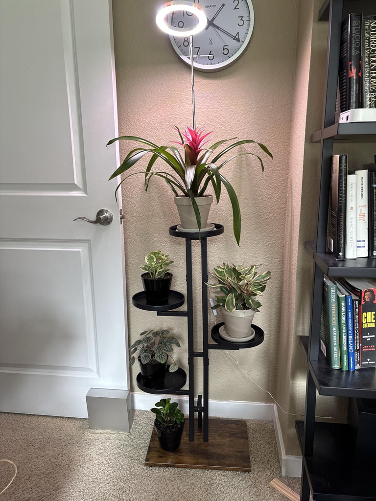 Energy-Saving Tips for Indoor Grow Lights