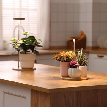 New Collection Bamboo LED Plant Light