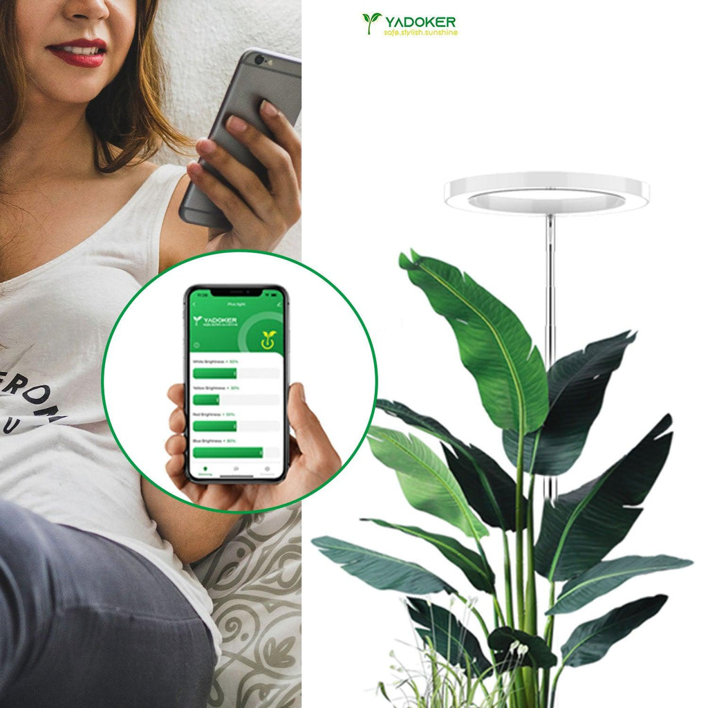 Smart Plant Grow Light - let you don't have to leave your bed