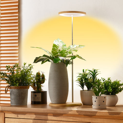 Bamboo Plant Grow Light，Desk