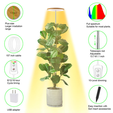 Bamboo Plant Grow Light Plus Version